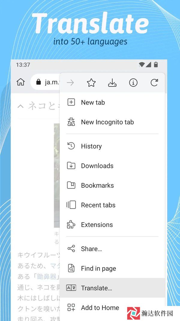 kiwibrowser