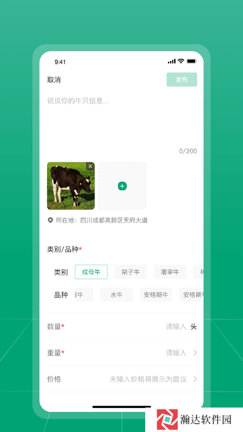 大肥牛