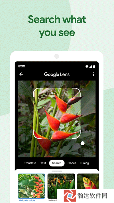 google相册