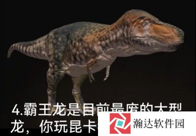 泰坦之路国际服