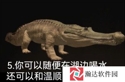 泰坦之路国际服