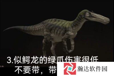 泰坦之路国际服