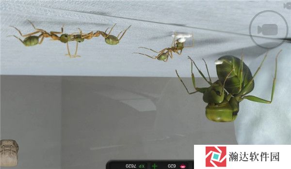 蚂蚁模拟大亨最新版游戏