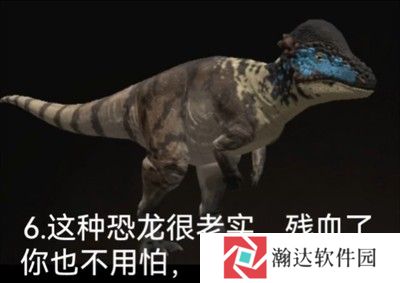 泰坦之路国际服
