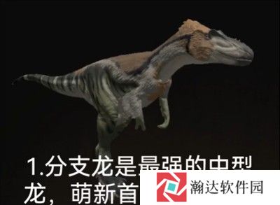 泰坦之路国际服