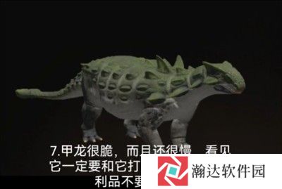 泰坦之路国际服