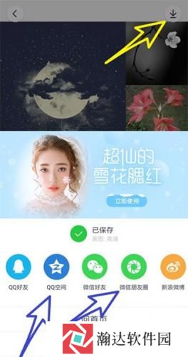 天天p图