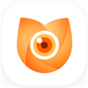 图次元app