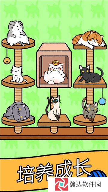 小美的宠物店猫猫公寓