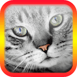 猫翻译模拟器新版