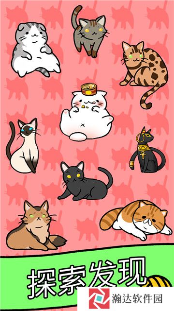 小美的宠物店猫猫公寓