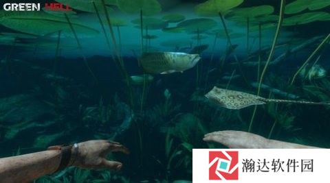绿色地狱