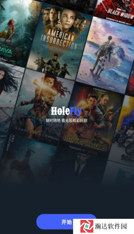 Holefly