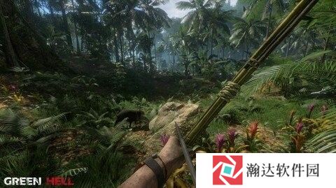 绿色地狱