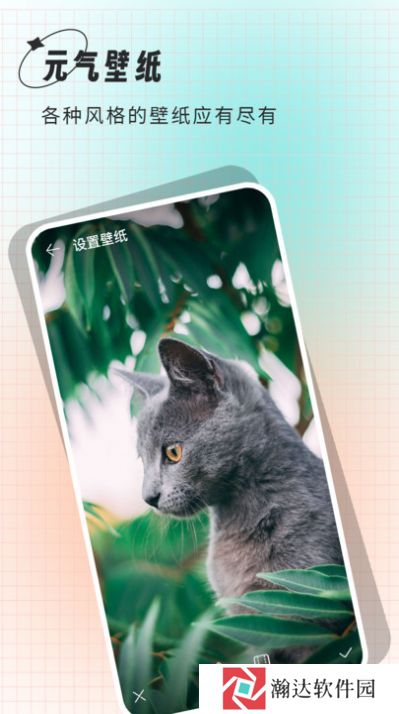 小鲸鱼壁纸
