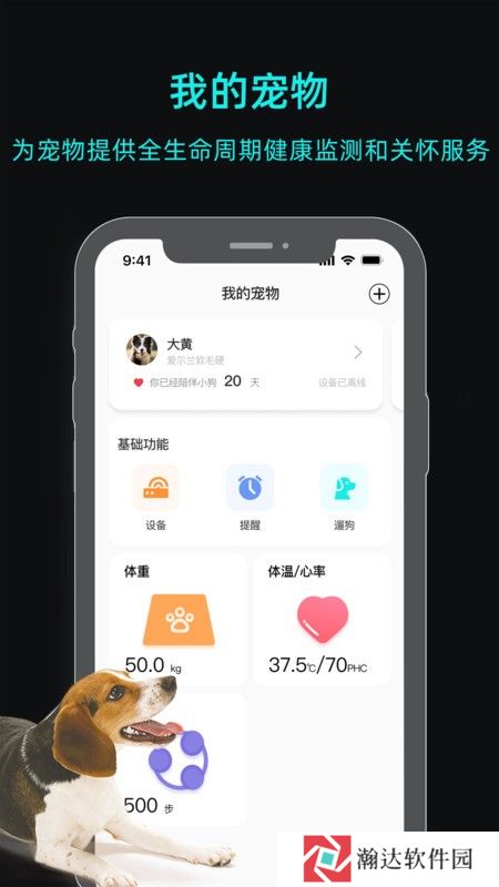 一聪小白