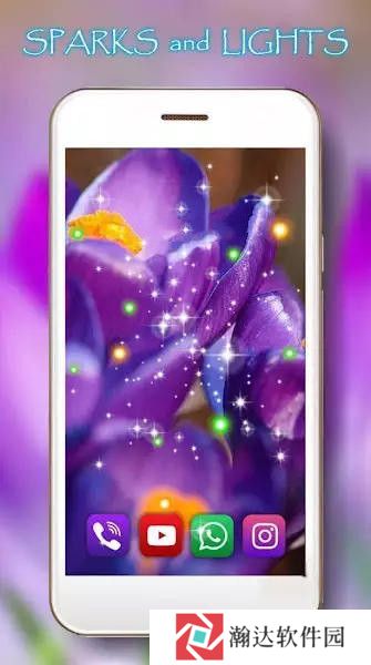 番红花之春壁纸